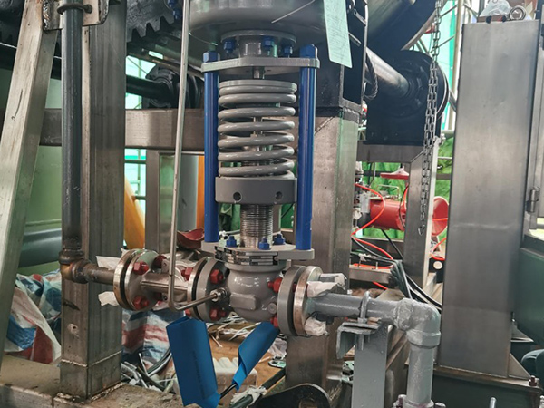 מסנן גז טבעי Desulfurization